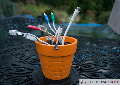 zmiany na swiecie doniczka i kable