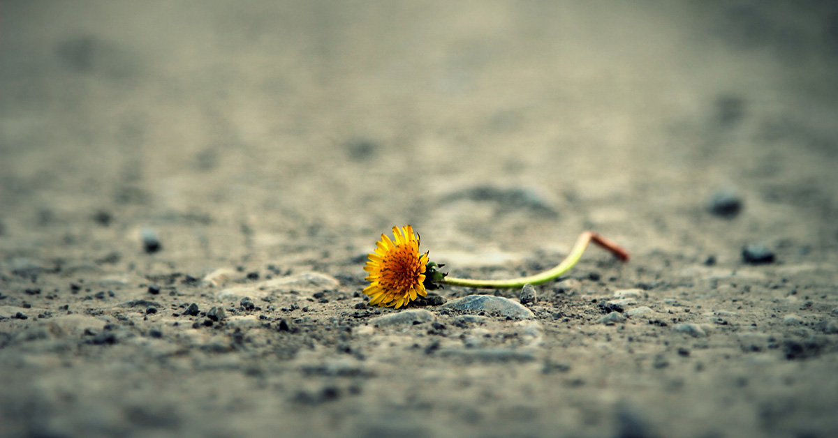 Kolejna kłoda rzucona pod Twoje nogi…